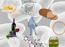 Call for papers for the article collection, "Industrial and Health Applications of Lactic Acid Bacteria and Their Metabolites, Volume II" in Frontiers in Microbiology 